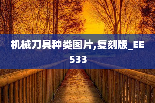 机械刀具种类图片,复刻版_EE533