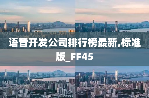 语音开发公司排行榜最新,标准版_FF45