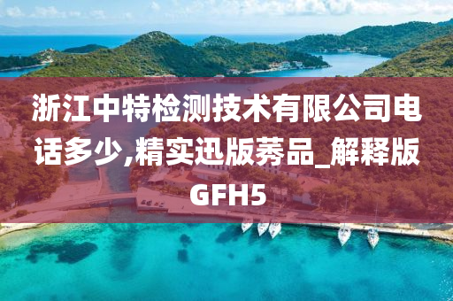 浙江中特检测技术有限公司电话多少,精实迅版莠品_解释版GFH5