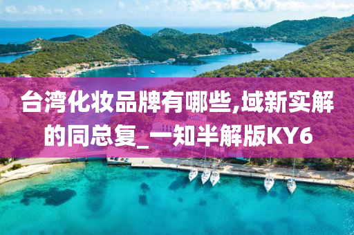 台湾化妆品牌有哪些,域新实解的同总复_一知半解版KY6