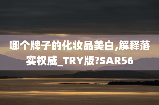 哪个牌子的化妆品美白,解释落实权威_TRY版?SAR56