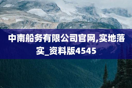 中南船务有限公司官网,实地落实_资料版4545