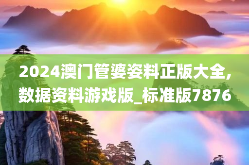 2024澳门管婆姿料正版大全,数据资料游戏版_标准版7876