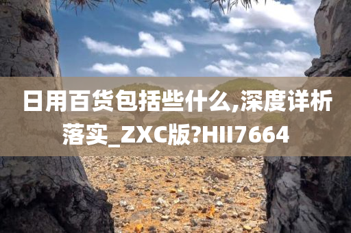 日用百货包括些什么,深度详析落实_ZXC版?HII7664