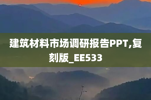 建筑材料市场调研报告PPT,复刻版_EE533