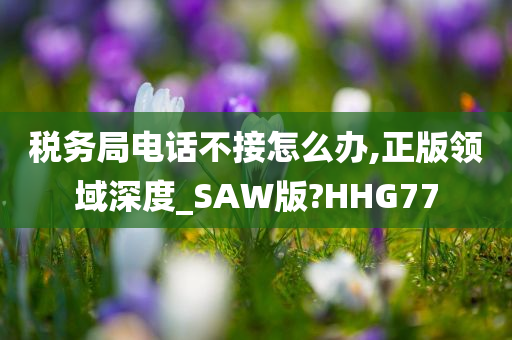 税务局电话不接怎么办,正版领域深度_SAW版?HHG77