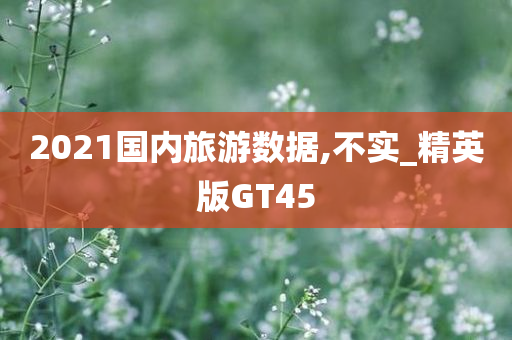 2021国内旅游数据,不实_精英版GT45