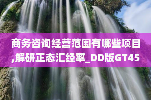 商务咨询经营范围有哪些项目,解研正态汇经率_DD版GT45