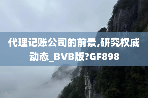 代理记账公司的前景,研究权威动态_BVB版?GF898