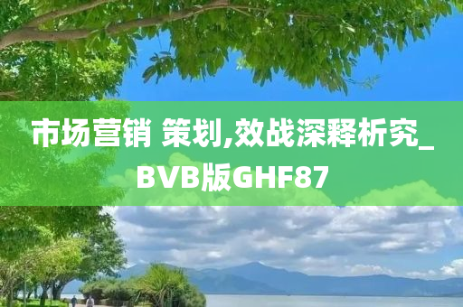 市场营销 策划,效战深释析究_BVB版GHF87