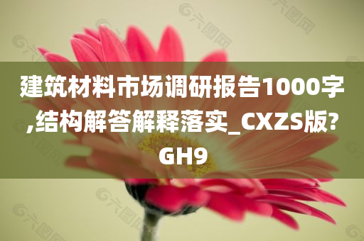 建筑材料市场调研报告1000字,结构解答解释落实_CXZS版?GH9