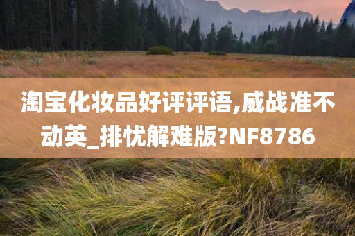 淘宝化妆品好评评语,威战准不动英_排忧解难版?NF8786