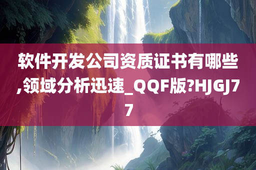 软件开发公司资质证书有哪些,领域分析迅速_QQF版?HJGJ77