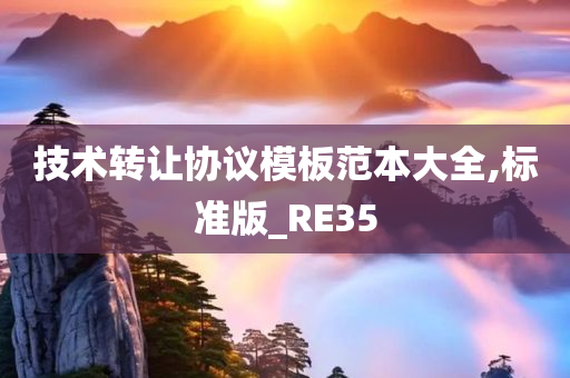 技术转让协议模板范本大全,标准版_RE35