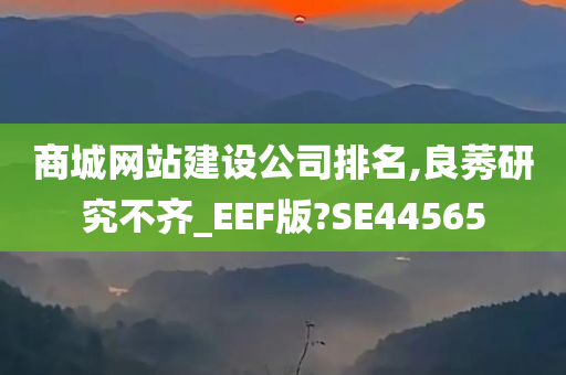 商城网站建设公司排名,良莠研究不齐_EEF版?SE44565