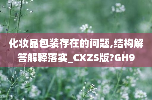 化妆品包装存在的问题,结构解答解释落实_CXZS版?GH9