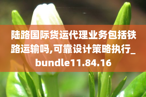 陆路国际货运代理业务包括铁路运输吗,可靠设计策略执行_bundle11.84.16