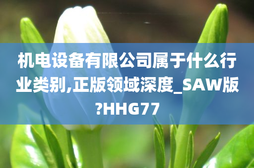 机电设备有限公司属于什么行业类别,正版领域深度_SAW版?HHG77