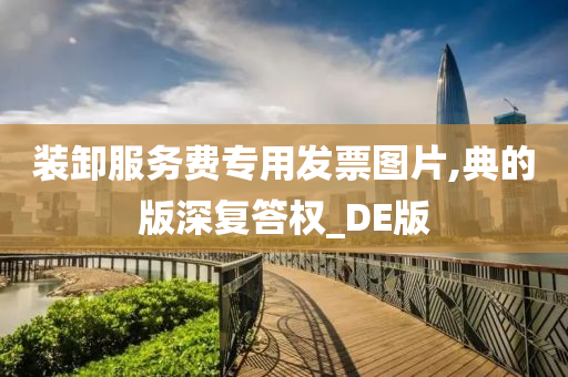 装卸服务费专用发票图片,典的版深复答权_DE版