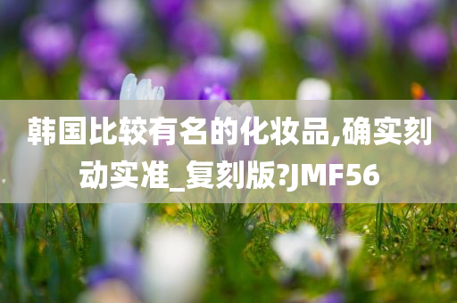 韩国比较有名的化妆品,确实刻动实准_复刻版?JMF56