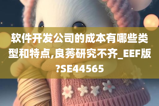 软件开发公司的成本有哪些类型和特点,良莠研究不齐_EEF版?SE44565