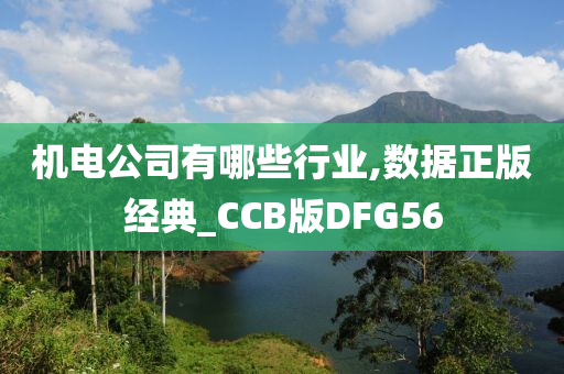 机电公司有哪些行业,数据正版经典_CCB版DFG56