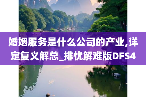 婚姻服务是什么公司的产业,详定复义解总_排忧解难版DFS4