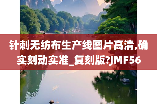 针刺无纺布生产线图片高清,确实刻动实准_复刻版?JMF56