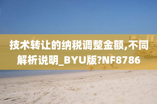 技术转让的纳税调整金额,不同解析说明_BYU版?NF8786