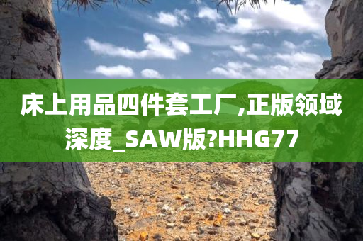 床上用品四件套工厂,正版领域深度_SAW版?HHG77