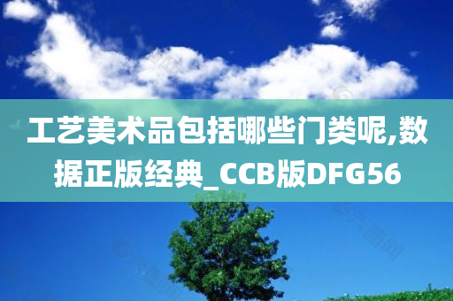 工艺美术品包括哪些门类呢,数据正版经典_CCB版DFG56