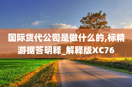 国际货代公司是做什么的,标精游据答明释_解释版XC76