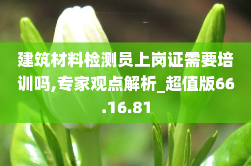 建筑材料检测员上岗证需要培训吗,专家观点解析_超值版66.16.81