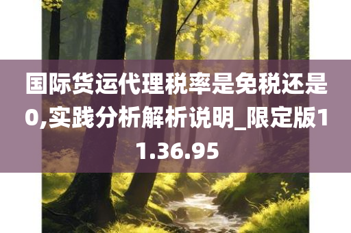 国际货运代理税率是免税还是0,实践分析解析说明_限定版11.36.95