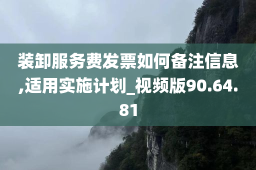 装卸服务费发票如何备注信息,适用实施计划_视频版90.64.81