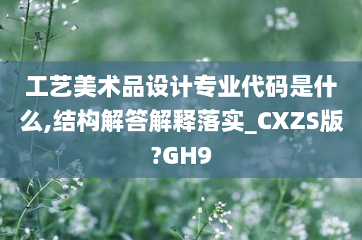 工艺美术品设计专业代码是什么,结构解答解释落实_CXZS版?GH9