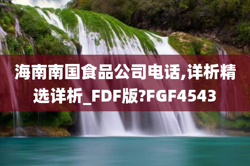 海南南国食品公司电话,详析精选详析_FDF版?FGF4543