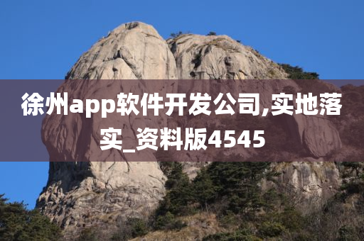 徐州app软件开发公司,实地落实_资料版4545