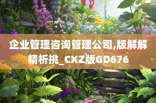 企业管理咨询管理公司,版解解精析挑_CXZ版GD676