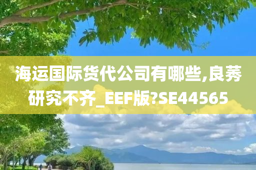 海运国际货代公司有哪些,良莠研究不齐_EEF版?SE44565