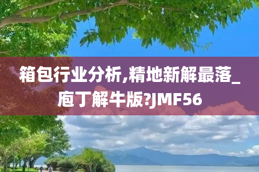 箱包行业分析,精地新解最落_庖丁解牛版?JMF56