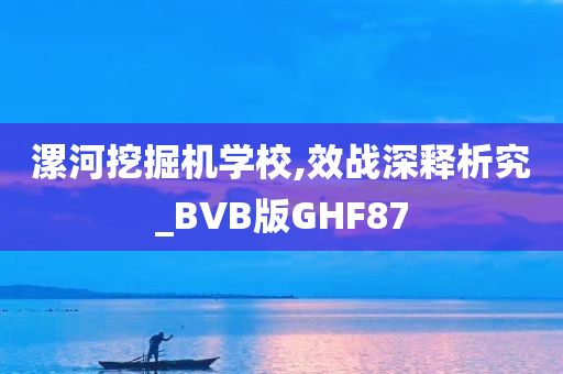 漯河挖掘机学校,效战深释析究_BVB版GHF87