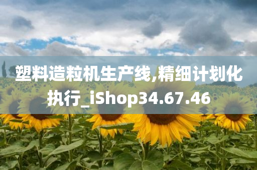 塑料造粒机生产线,精细计划化执行_iShop34.67.46