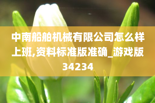 中南船舶机械有限公司怎么样上班,资料标准版准确_游戏版34234