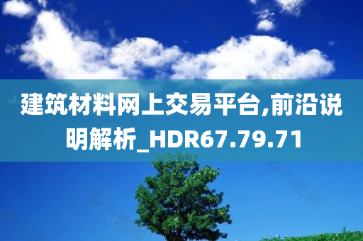 建筑材料网上交易平台,前沿说明解析_HDR67.79.71