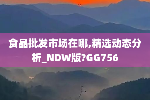 食品批发市场在哪,精选动态分析_NDW版?GG756