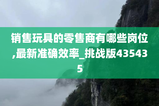 销售玩具的零售商有哪些岗位,最新准确效率_挑战版435435