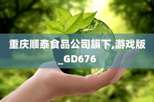 重庆顺泰食品公司旗下,游戏版_GD676