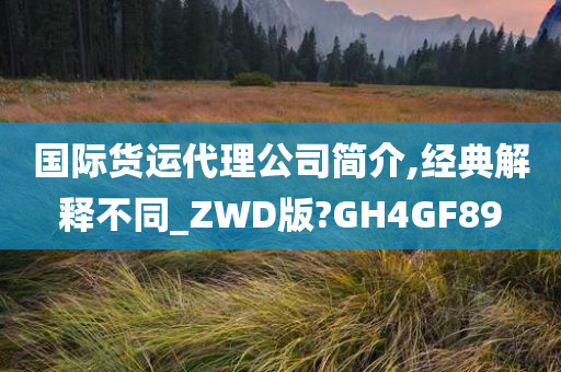 国际货运代理公司简介,经典解释不同_ZWD版?GH4GF89