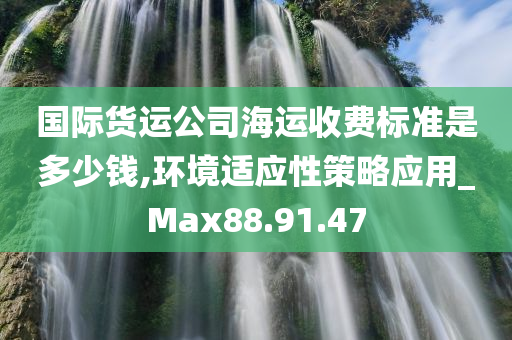 国际货运公司海运收费标准是多少钱,环境适应性策略应用_Max88.91.47